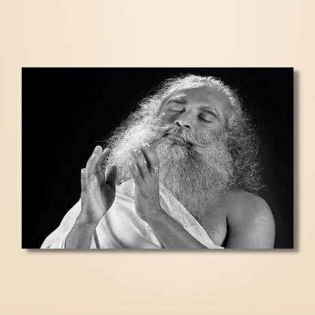 Sadhguru 16 - (photo download)