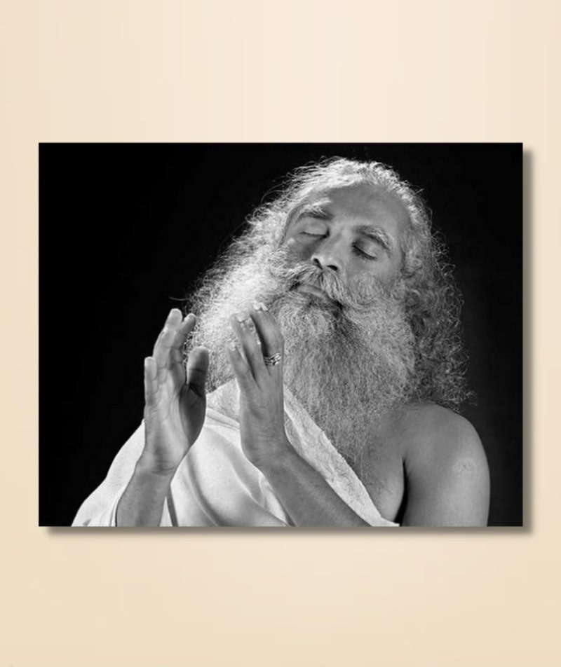 Sadhguru 16 - (photo download)