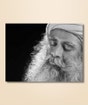 Sadhguru 17 - (photo download)