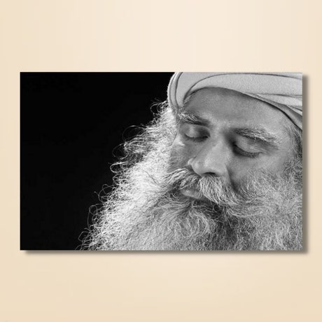 Sadhguru 17 - (photo download)