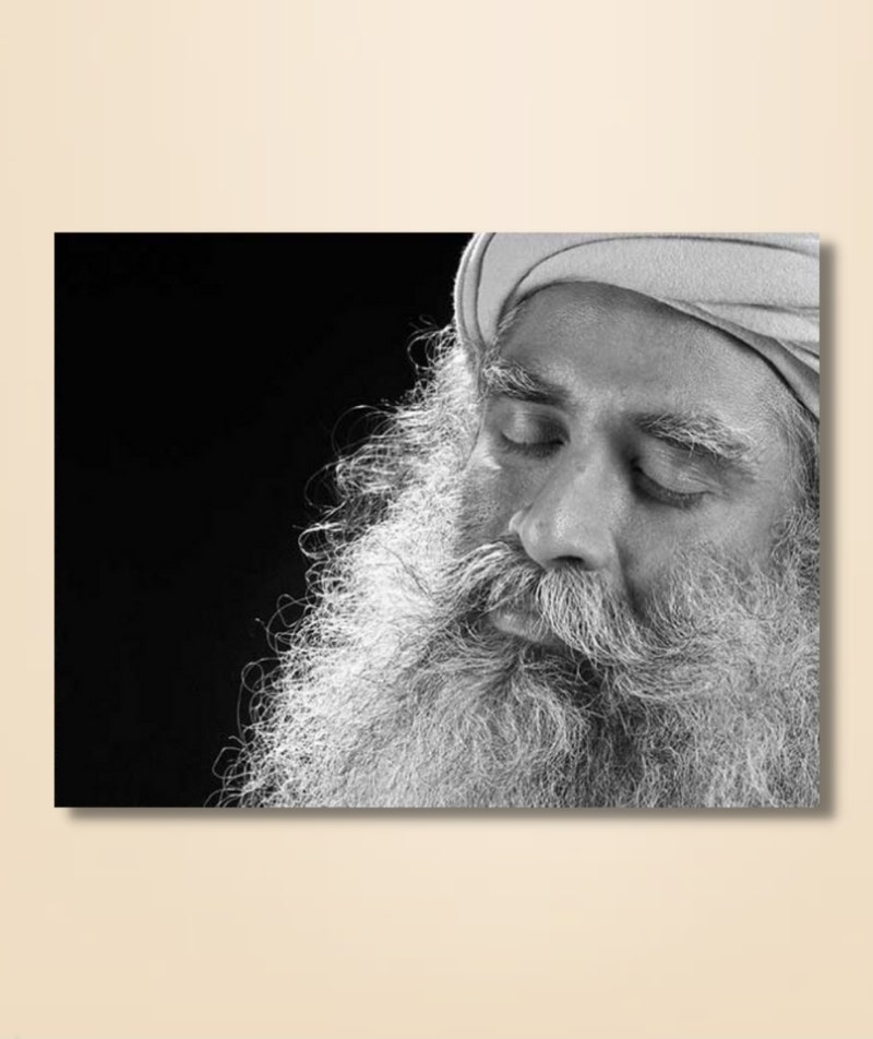 Sadhguru 17 - (photo download)