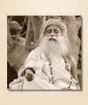 Sadhguru 19 - (photo download)