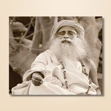 Sadhguru 19 - (photo download)