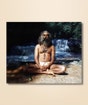 Sadhguru 20 - (photo download)