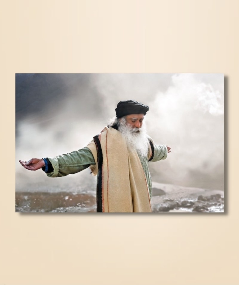 Sadhguru 24 - (photo download)