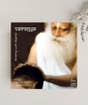 Vairagya (MP3 Music)  