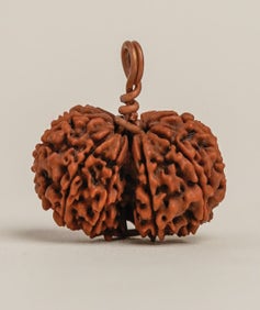 Gaurishankar Rudraksha Bead (Consecrated)