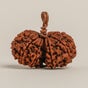 Gaurishankar Rudraksha Bead (Consecrated)