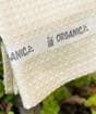 Organic Waffle Towel