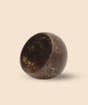 Coco Shell Small Bowl