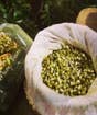 Organic Moong Beans, 32oz