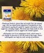 Organic Weight Loss Tea, 2 oz.