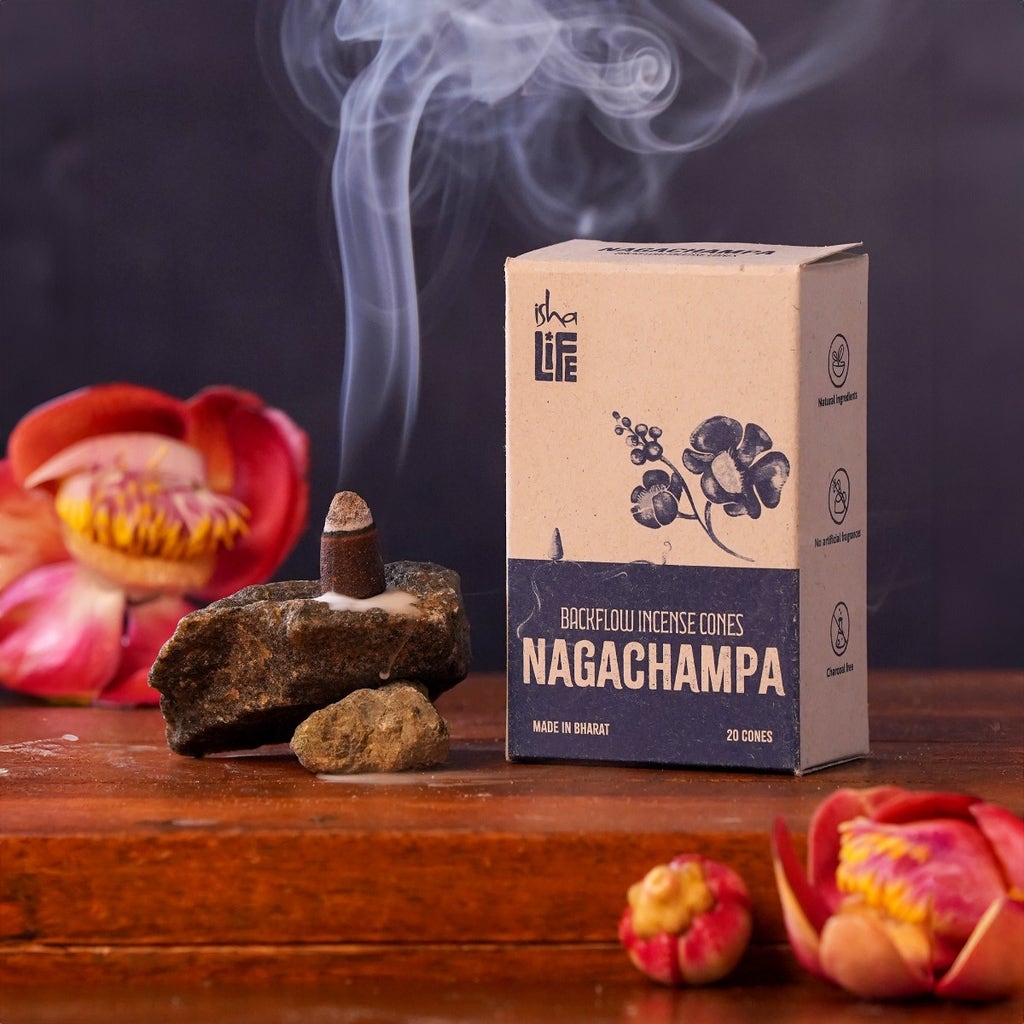 Backflow Refill Incense - Pack of 20 Cones - Nagachampa