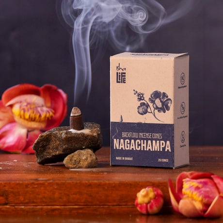 Backflow Refill Incense - Pack of 20 Cones - Nagachampa