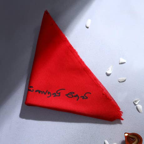 Devi Vastram. Energized. Sacred Red Cloth.