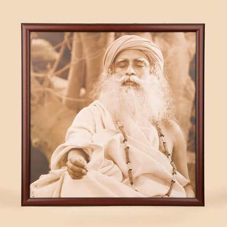 Sadhguru Photo Natural - 20x20