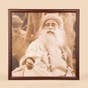 Sadhguru Photo Natural - 20x20