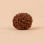 Shanmukhi Rudraksha Bead for Children (Consecrated)