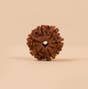 Shanmukhi Rudraksha Bead for Children (Consecrated)
