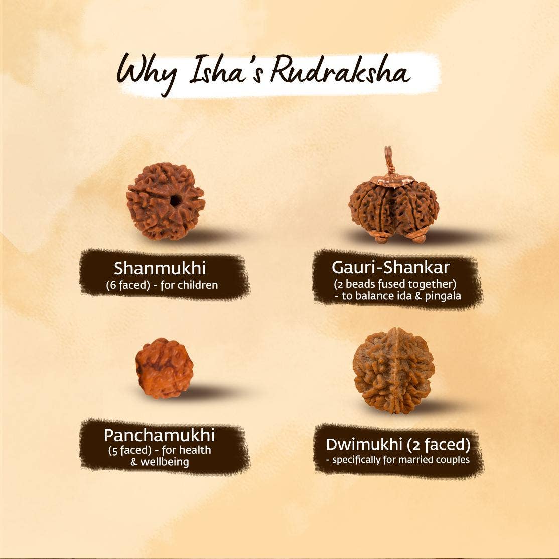 Authentic Isha Panchamukhi (five-faced) Rudraksha Mala. Energized at Dhyanalinga. Your cocoon of energy (8 mm)