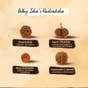 Rudraksha Panchamukhi Mala Bead size-5mm.