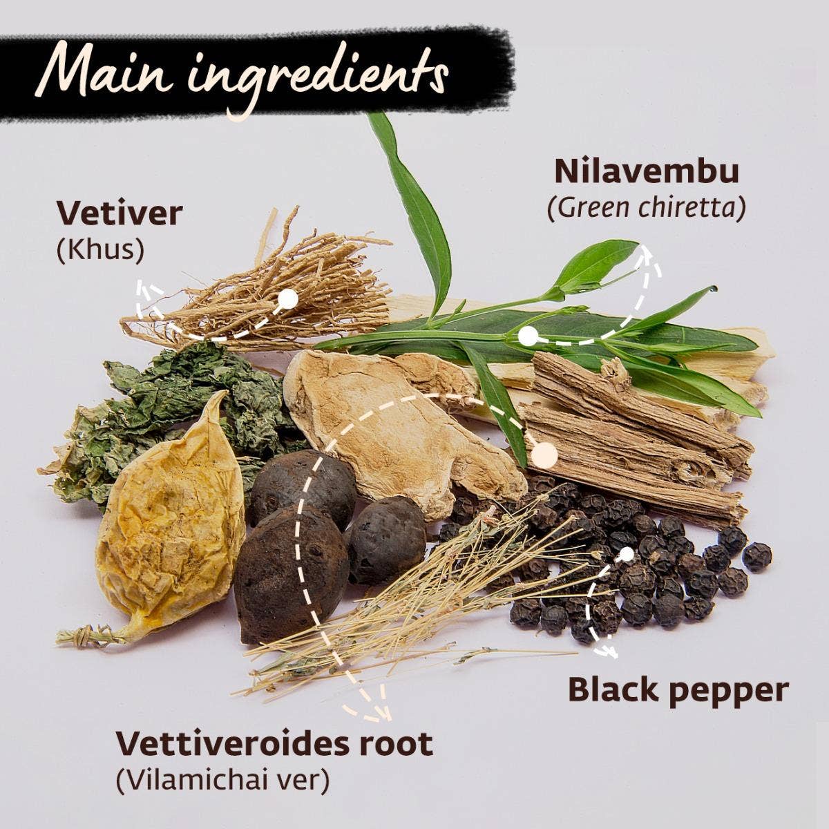 Nilavembhu Kudineer (Kashayam). Immunity booster (100 gms)