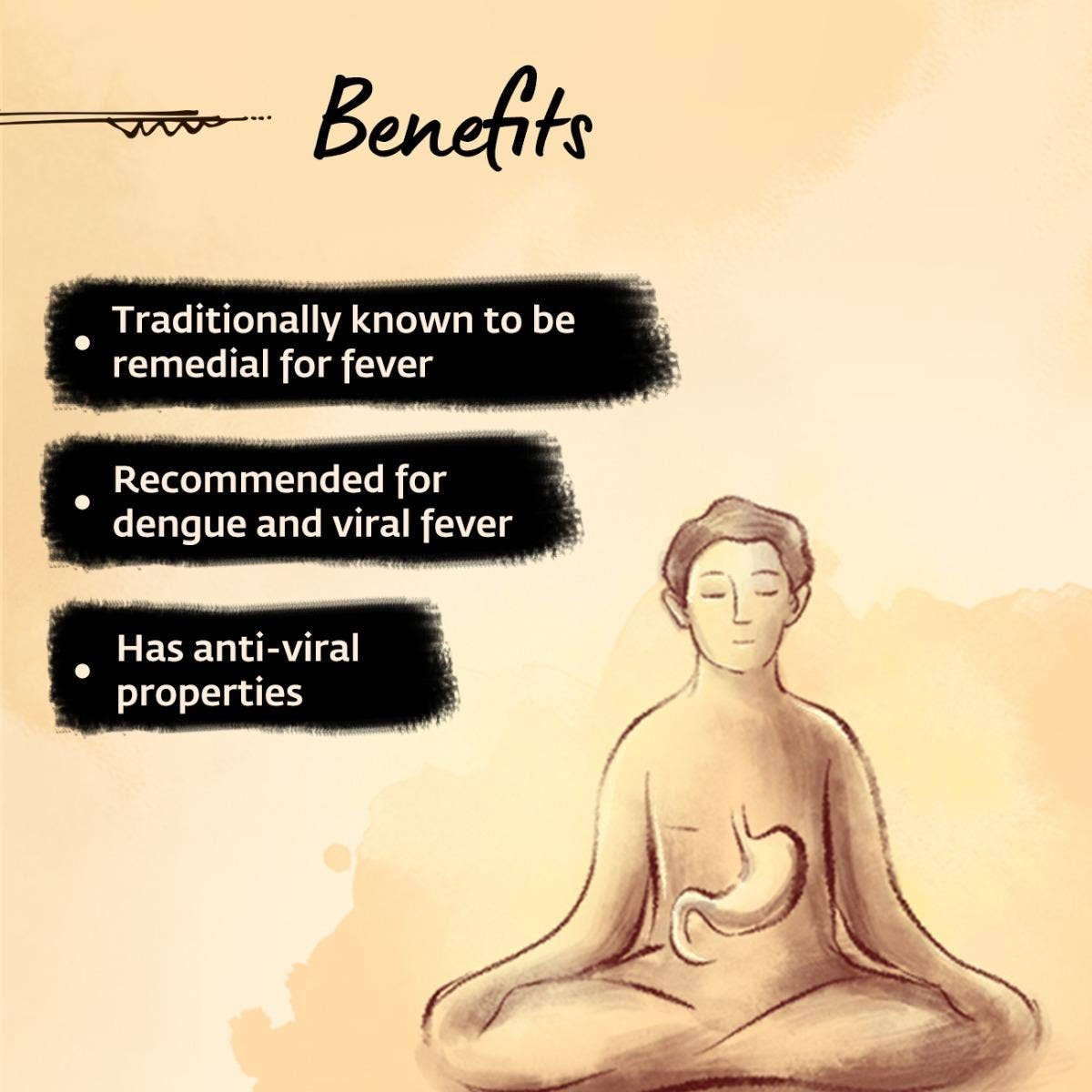 Nilavembhu Kudineer (Kashayam). Immunity booster (100 gms)