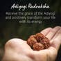 Adiyogi Rudraksha with Chain (Consecrated)