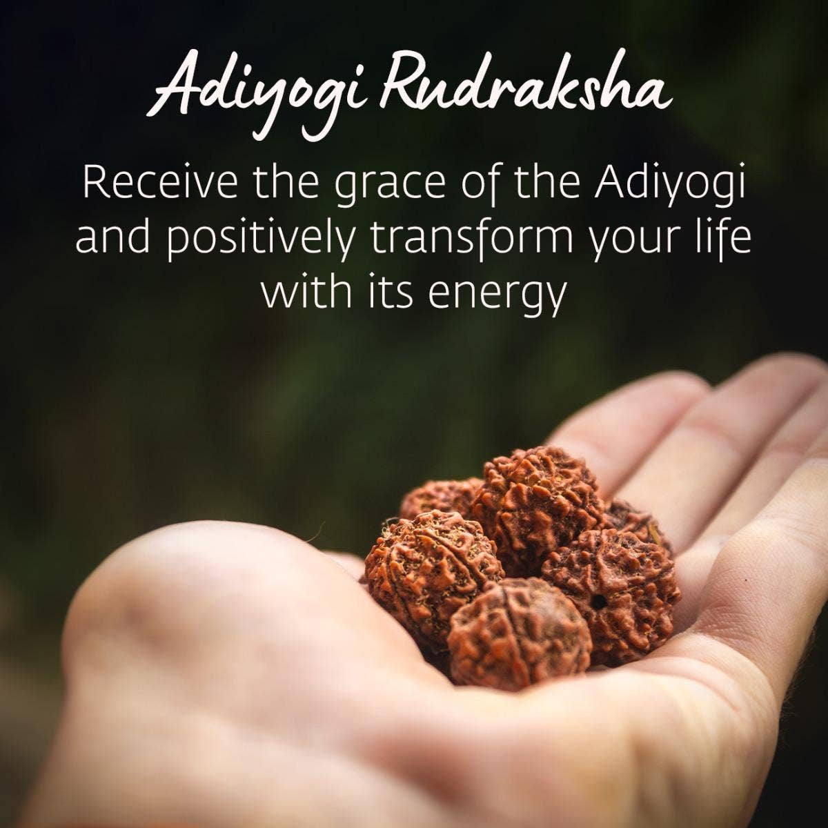 Adiyogi Rudraksha with copper chain. Consecrated Isha Panchamukhi (five faced) Rudraksha bead.