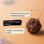 Shanmukhi Rudraksha Bead for Children (Consecrated)