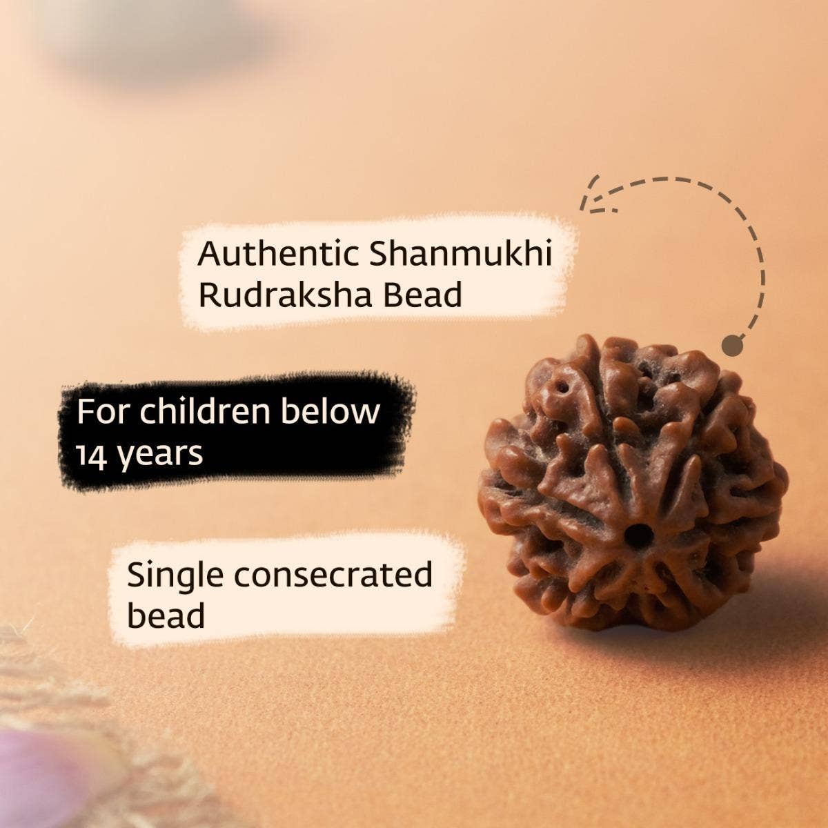 Authentic Isha Shanmukhi (six faced) Rudraksha Bead. Consecrated single bead for children below 14 years of age.