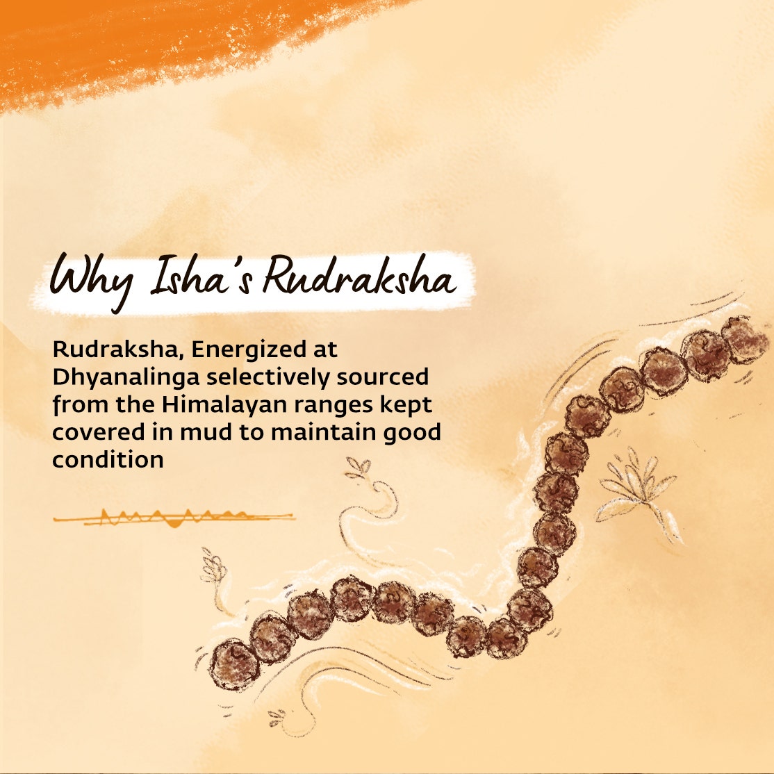 Authentic Isha Panchamukhi (five-faced) Rudraksha Mala. Energized at Dhyanalinga. Your cocoon of energy (8 mm)
