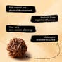 Shanmukhi Rudraksha Bead for Children (Consecrated)