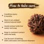 Shanmukhi Rudraksha Bead for Children (Consecrated)