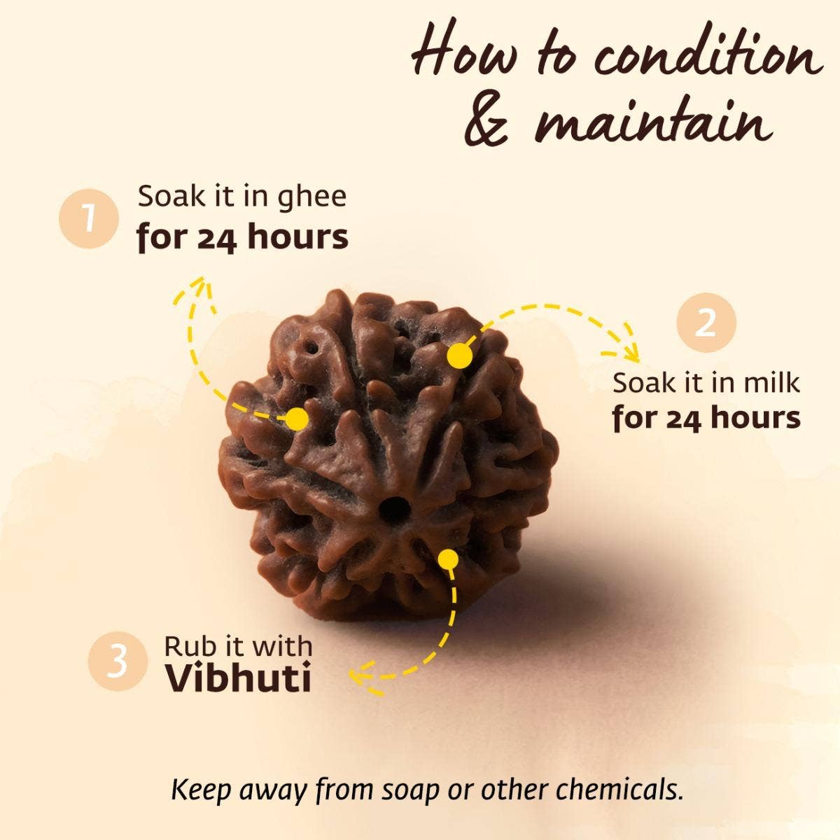 Adiyogi Rudraksha with copper chain. Consecrated Isha Panchamukhi (five faced) Rudraksha bead.