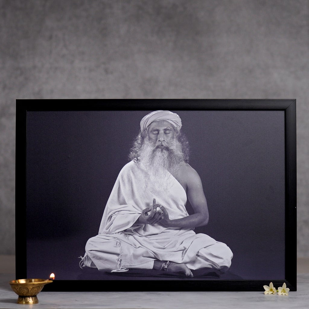 Sadhguru Photo (12x16)