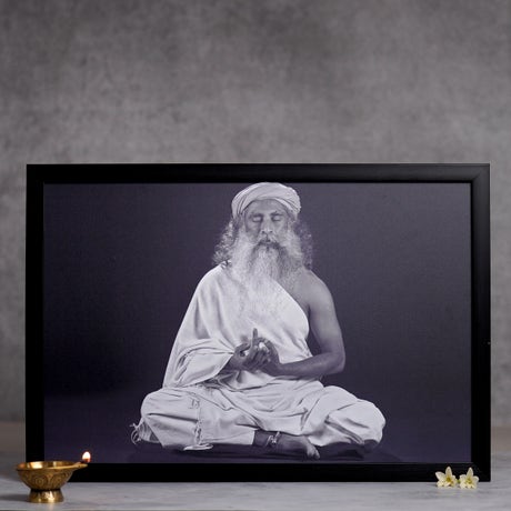 Sadhguru Photo (12x16)