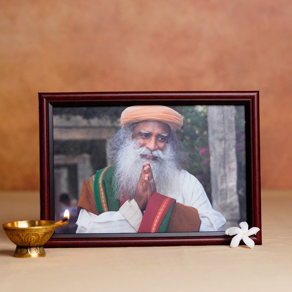 Sadhguru Photo (6x9)