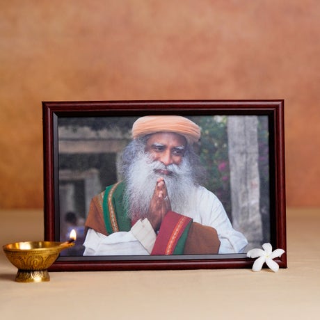 Sadhguru Photo (6x9)