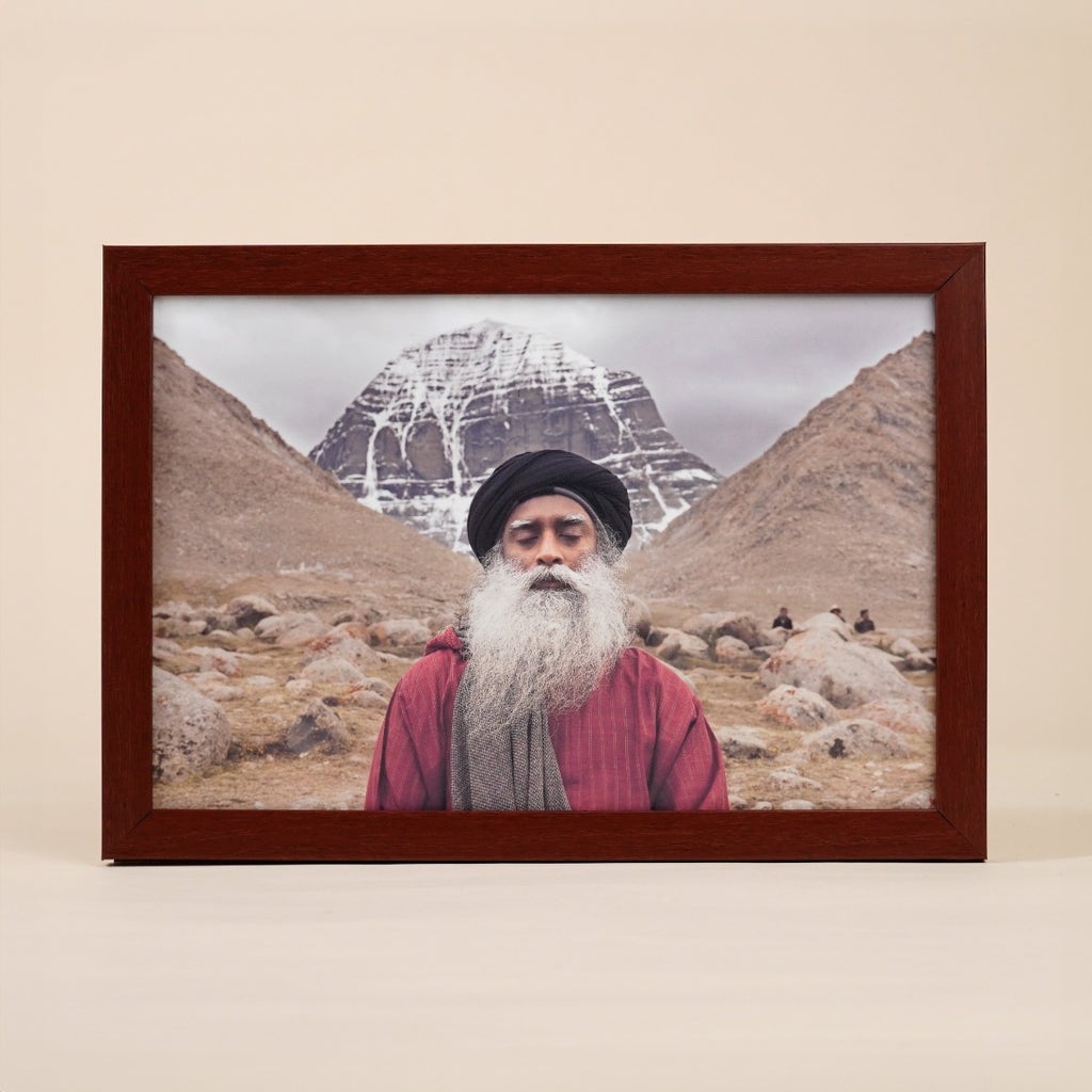 Sadhguru Photo (8x12)