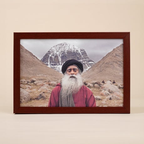 Sadhguru Photo (8x12)