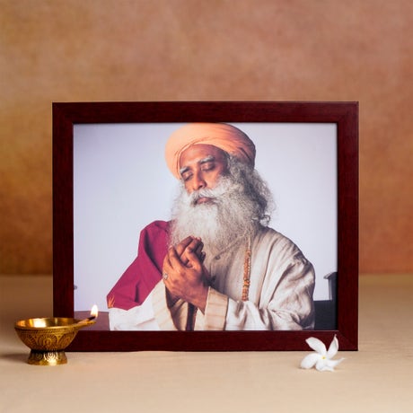 Sadhguru Photo (8x10)