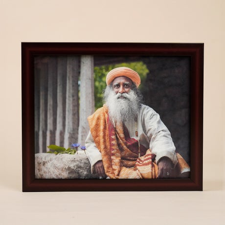 Sadhguru Photo (8x10)