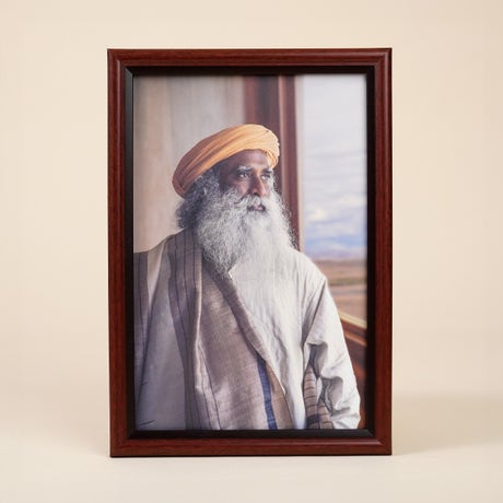 Sadhguru Photo (6x9)