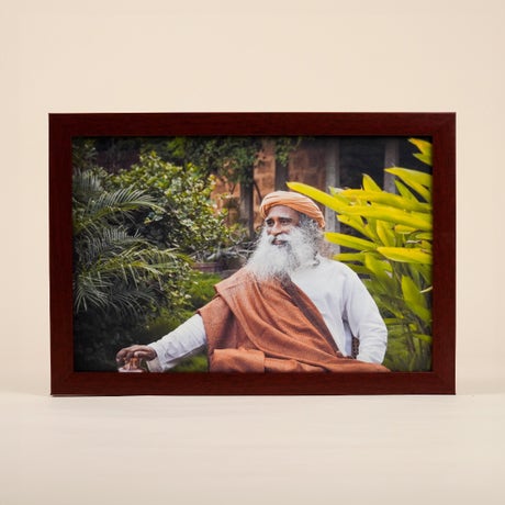 Sadhguru Photo (8x12)