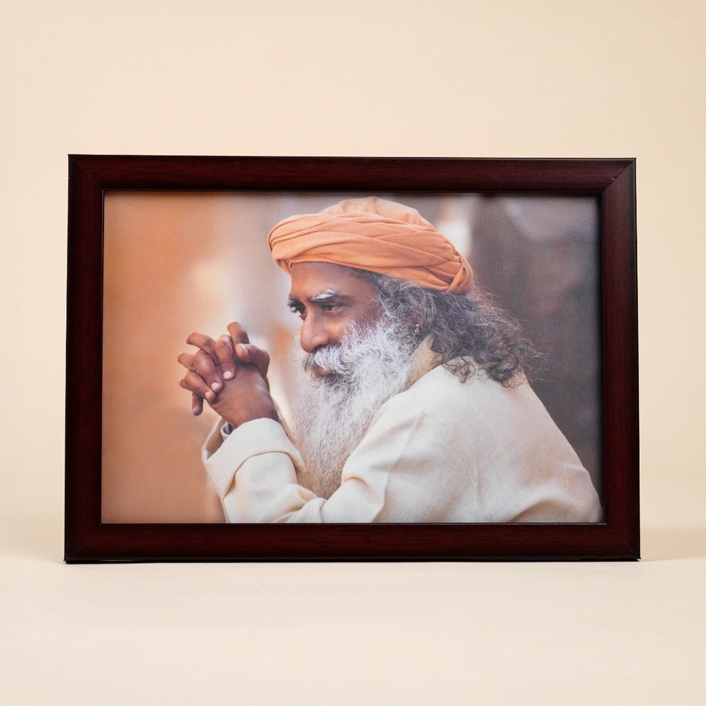Sadhguru Photo (6x9)