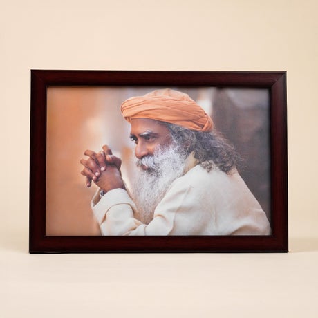 Sadhguru Photo (6x9)