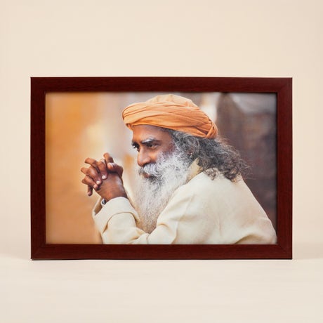 Sadhguru Photo (8x12)