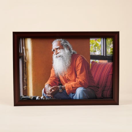 Sadhguru Photo (8x12)