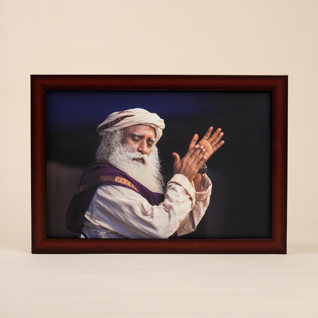 Sadhguru Photo (8x12)
